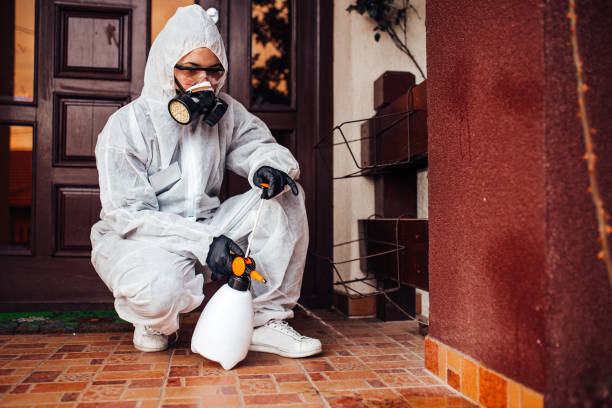 Reliable Ant Control contractor in Zapata, TX by Show Me Pest Control